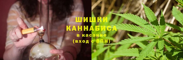 твердый Алзамай