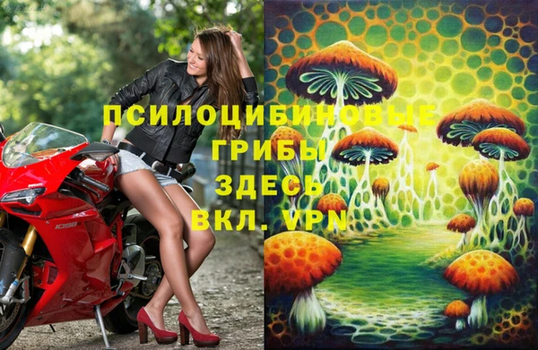 твердый Алзамай