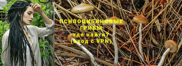 твердый Алзамай