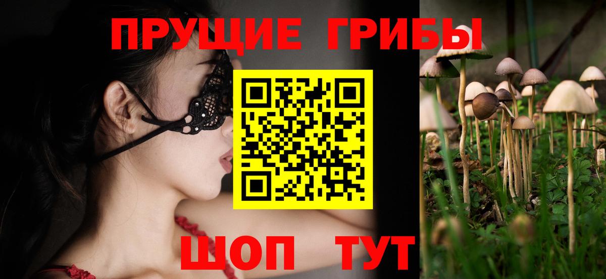 Псилоцибиновые грибы Cubensis Аргун