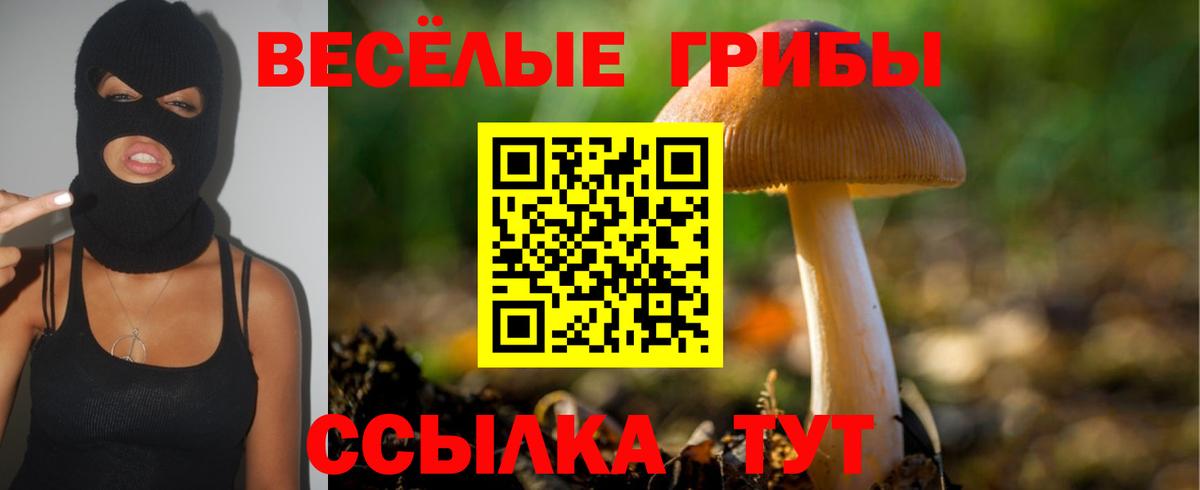 Галлюциногенные грибы мухоморы  Вход с VPN  Аргун 